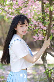 消失的大象